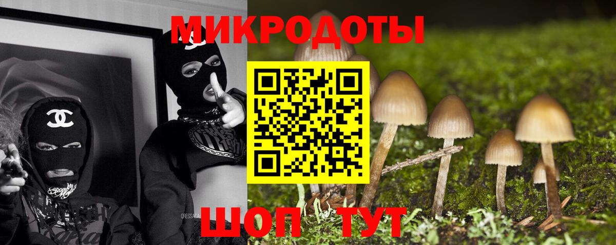 Торжок  Галлюциногенные грибы мицелий  Вход с VPN 